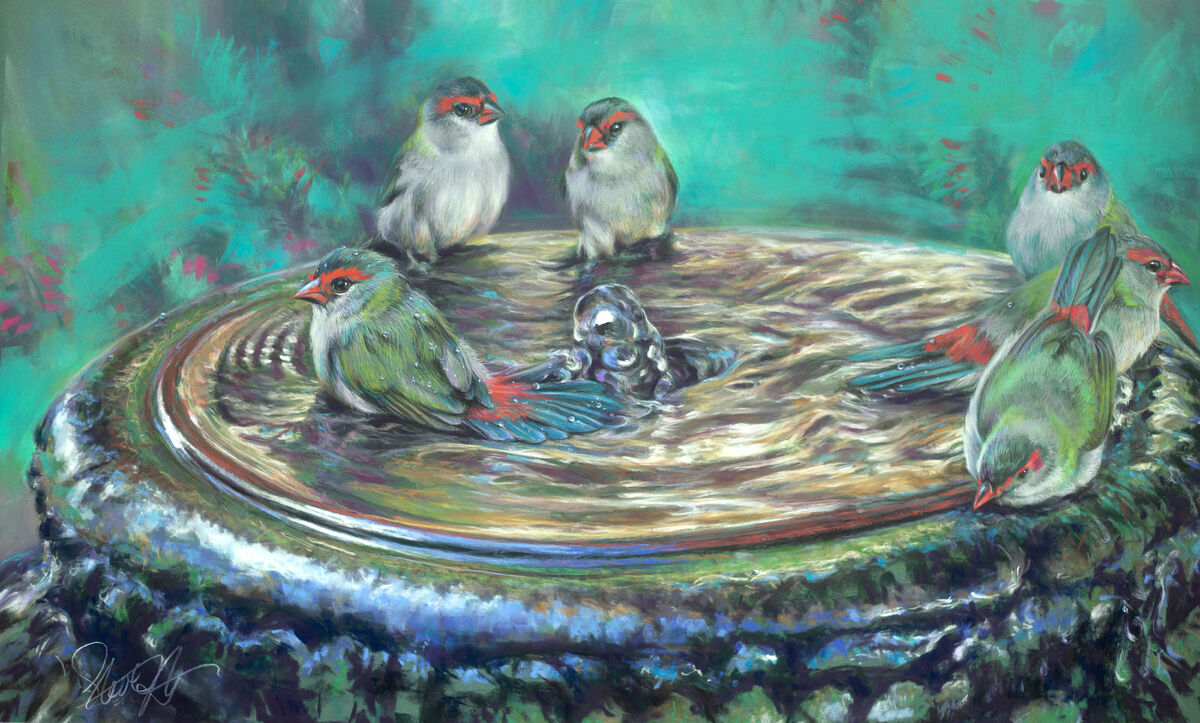 Fountain party - Red browed finches Fountain party - Red browed finches