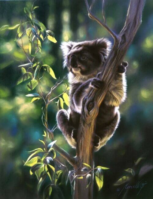 Steve Morvell - Art For Conservation Steve Morvell - Art For Conservation