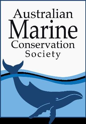 Steve Morvell - Australian Marine Conservation Society
