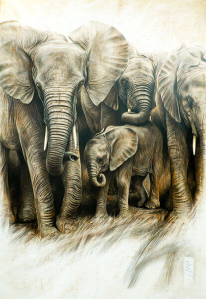 Steve Morvell - Commissions - Elephants