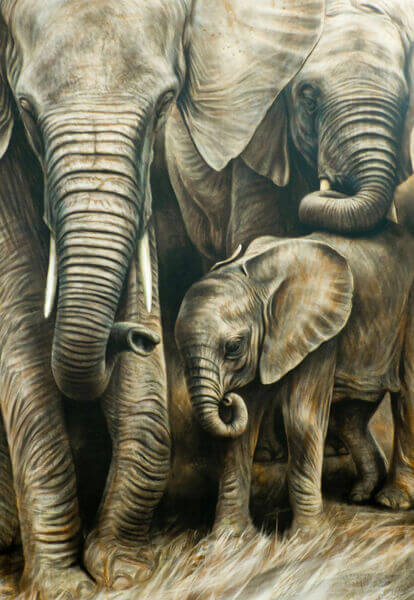 Steve Morvell - Commissions - Elephants