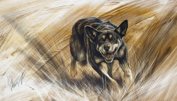 Steve Morvell - Commissions - Kelpie