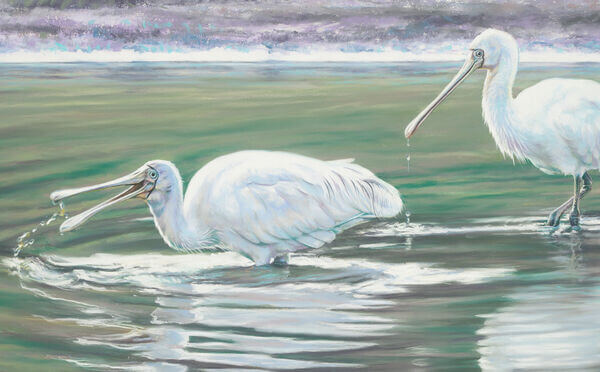 Steve Morvell - Commissions - Yellow Spoonbills