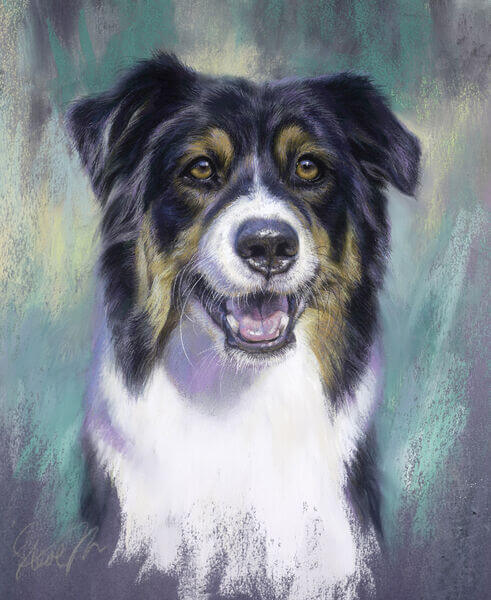 Steve Morvell - Pet Portraits