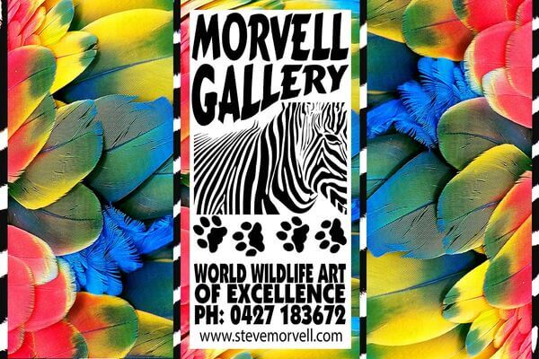 Steve Morvell - Studio Gallery