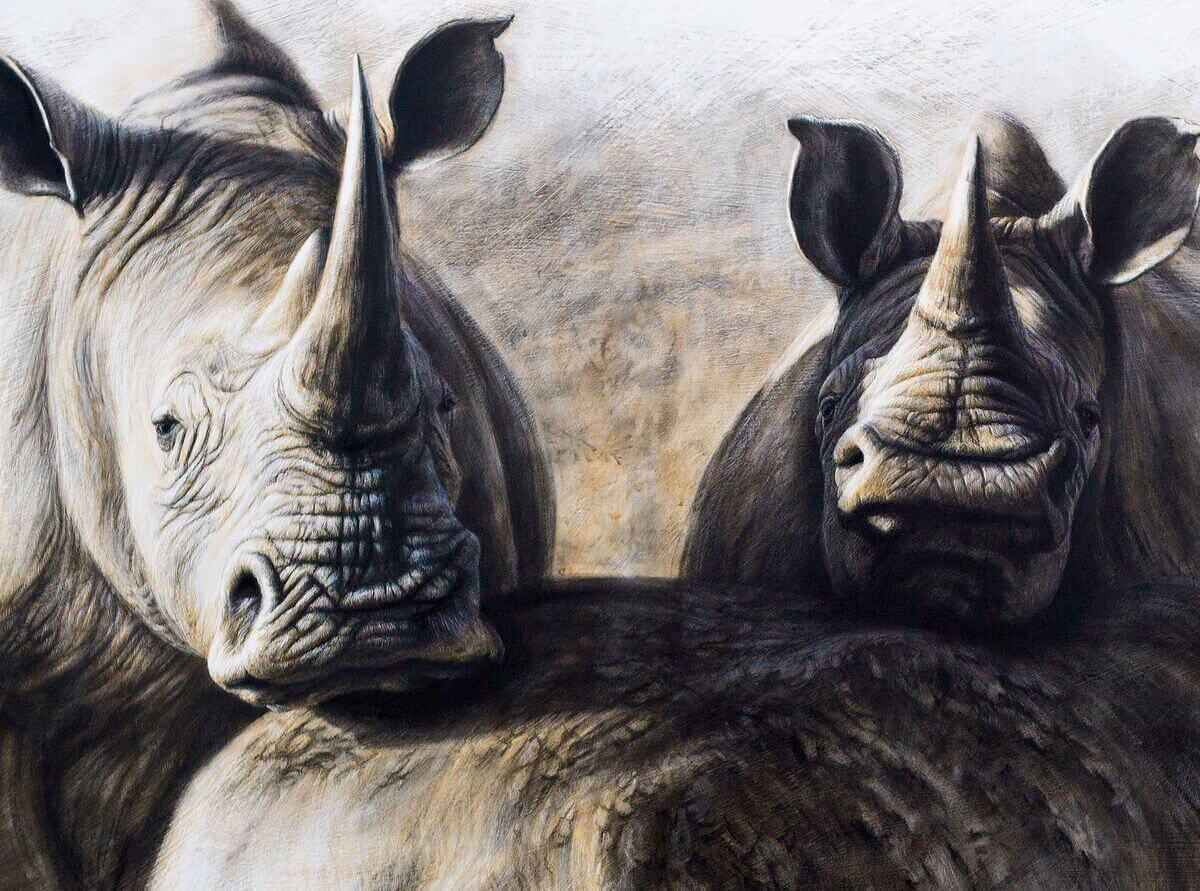 A motherandrsquos love andndash Southern White Rhinos