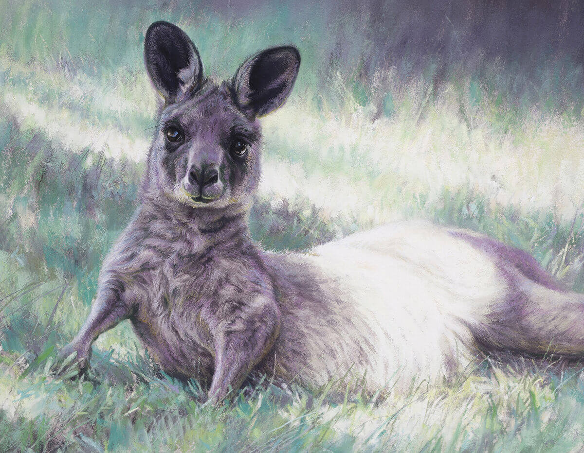 A new generation andndash Eastern Grey Kangaroo