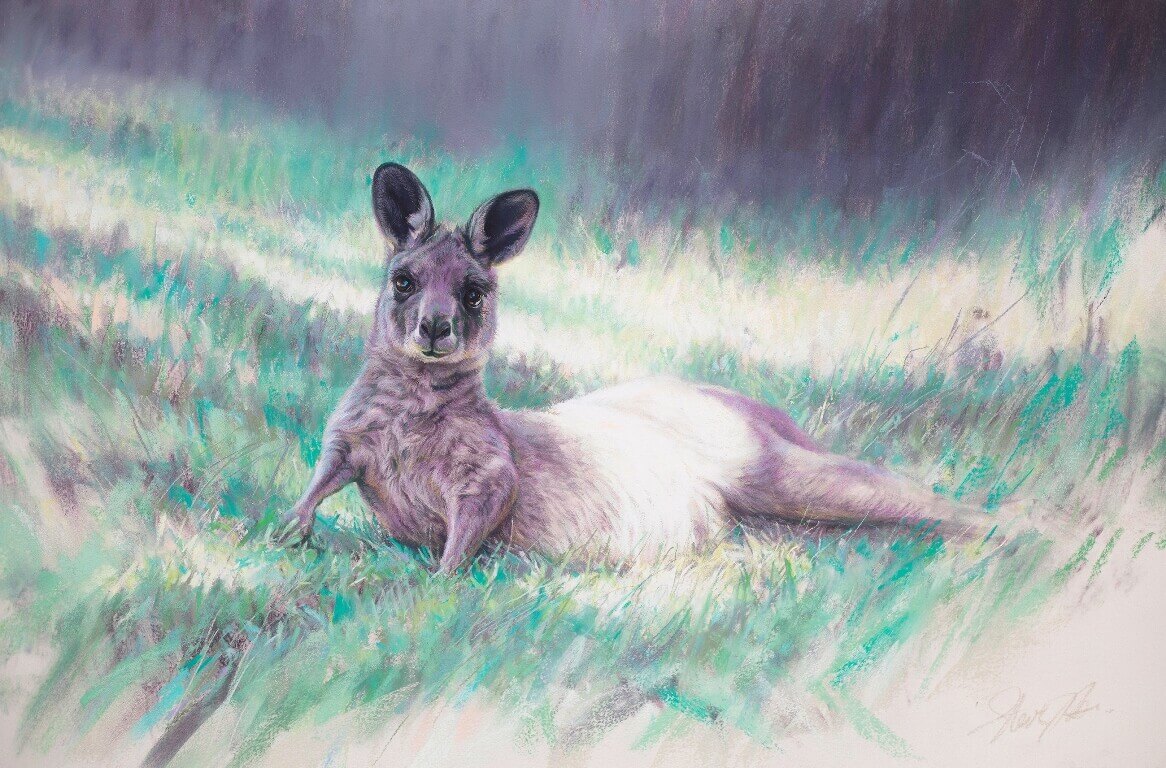A new generation andndash Eastern grey kangaroo