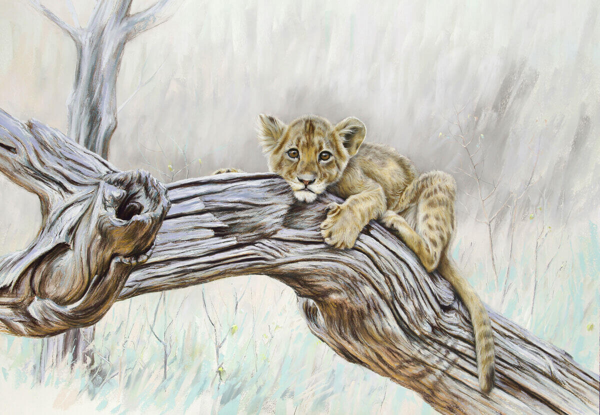 A story with no ending andndash African Lion cub