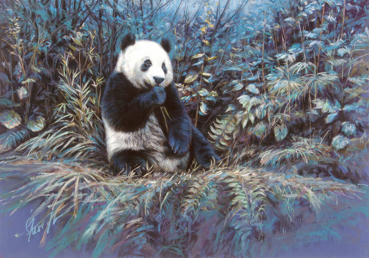 At peace andndash Giant Panda