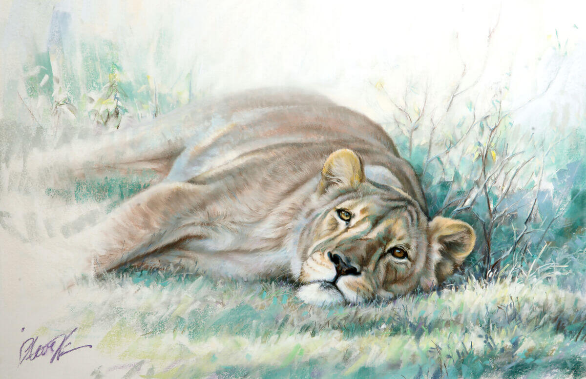 Doing what lions do andndash African Lioness