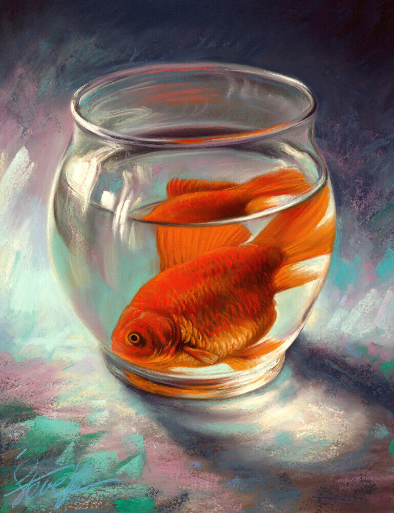 Glass houses andndash goldfish