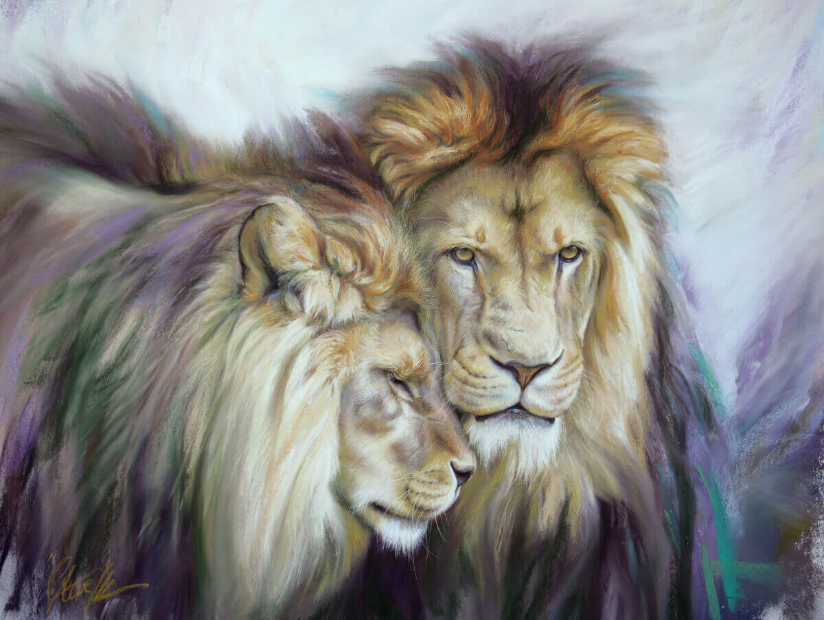 Lion brothers andndash African Lions