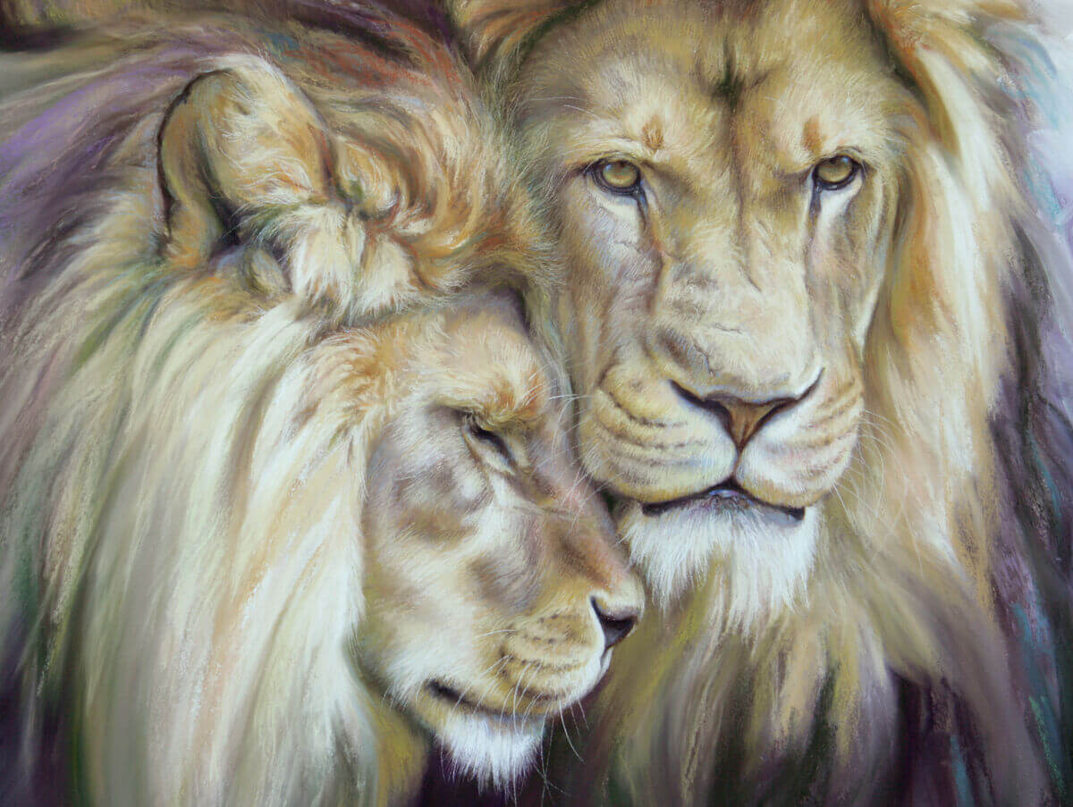 Lion brothers andndash African Lions