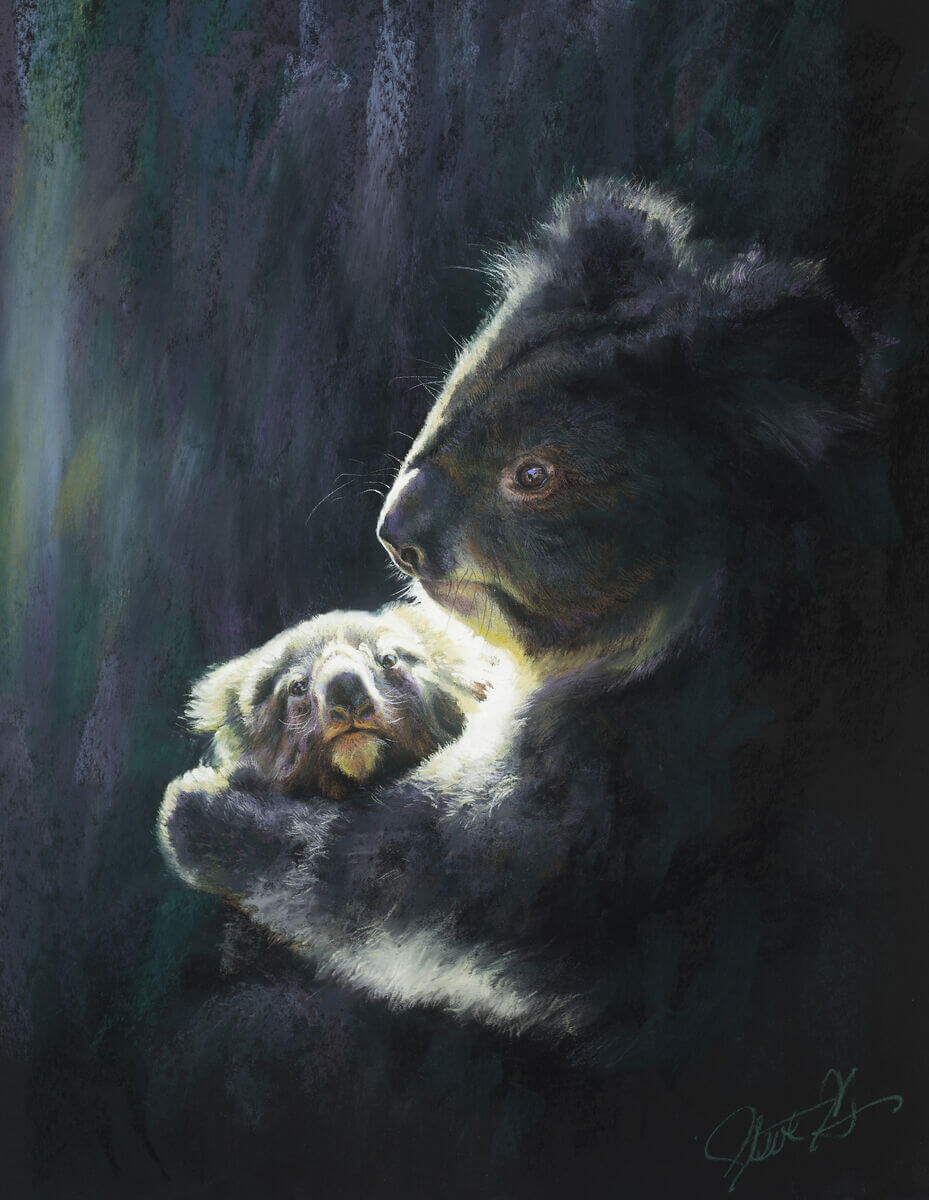 Precious andndash mum and joey Koala