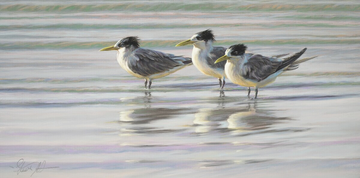 Time for reflection crested terns