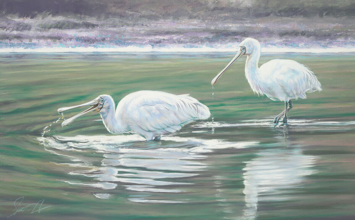 When least expected andndash Yellow Spoonbills