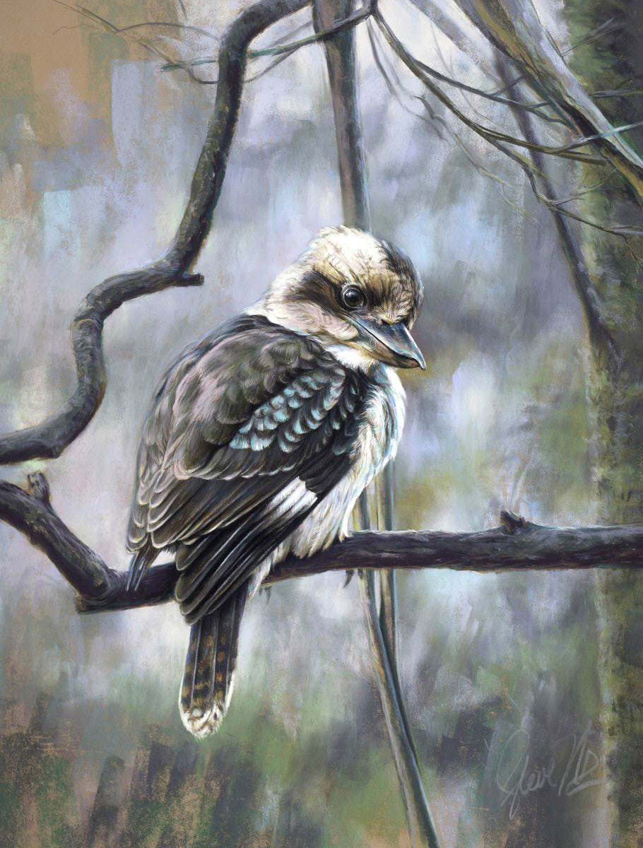  Who me +hellipdid I wake you   Laughing kookaburra   
