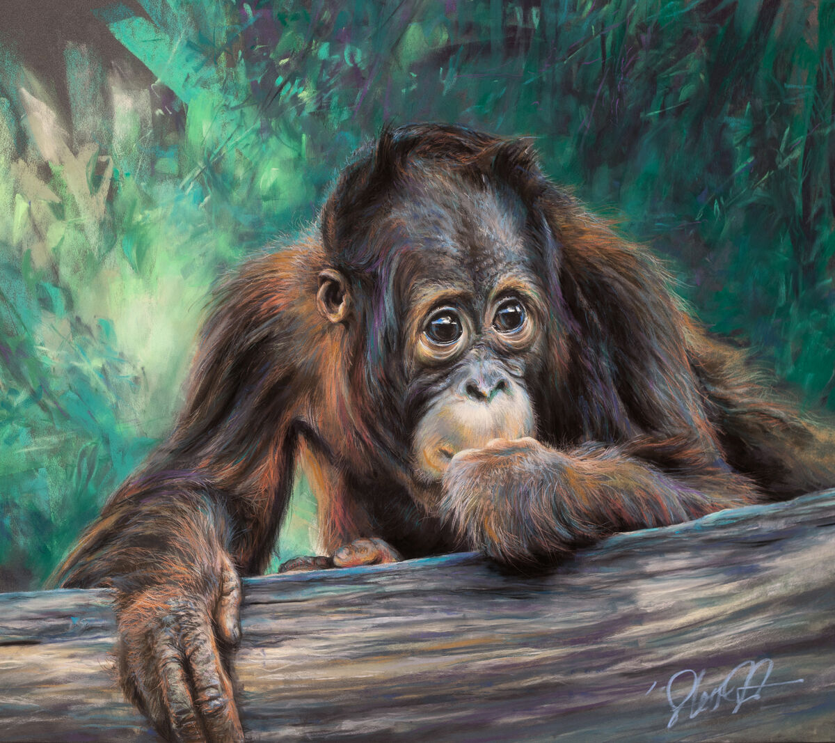 andlsquoIt really is that simple  Bornean orangutanandrsquo
