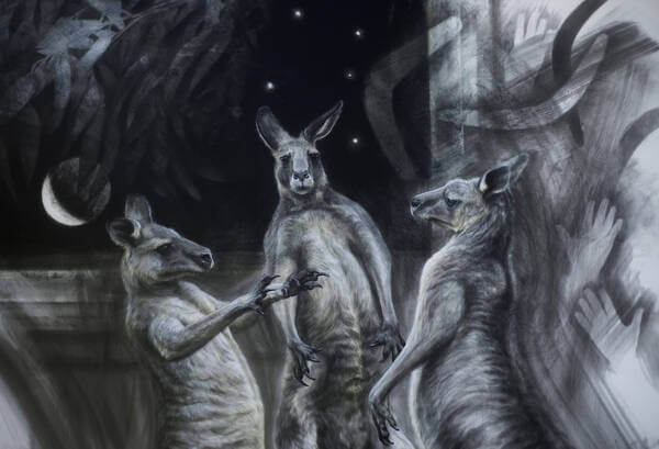 2 minutes to midnight  Eastern Grey Kangaroos