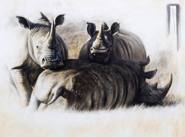 A motherandrsquos love andndash Southern White Rhinos