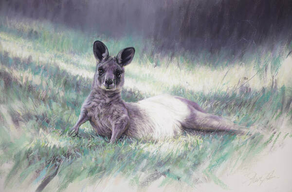 A new generation andndash Eastern Grey Kangaroo