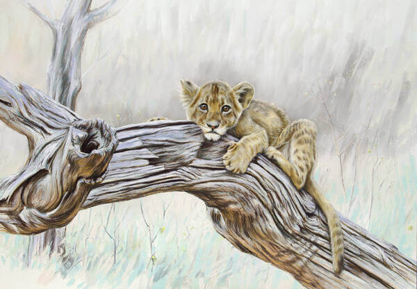 A story with no ending andndash African Lion cub