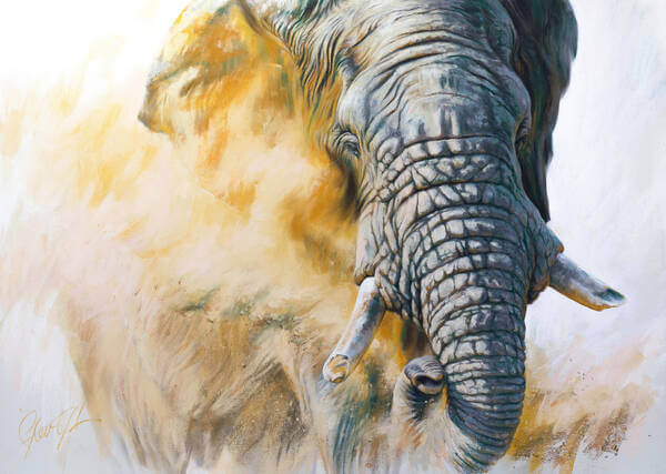 Grand elder statesman andndash African Bull Elephant