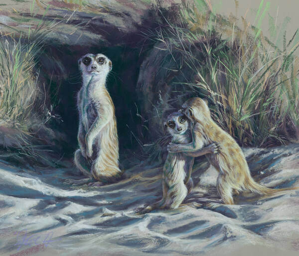 It starts out as fun  Meerkats