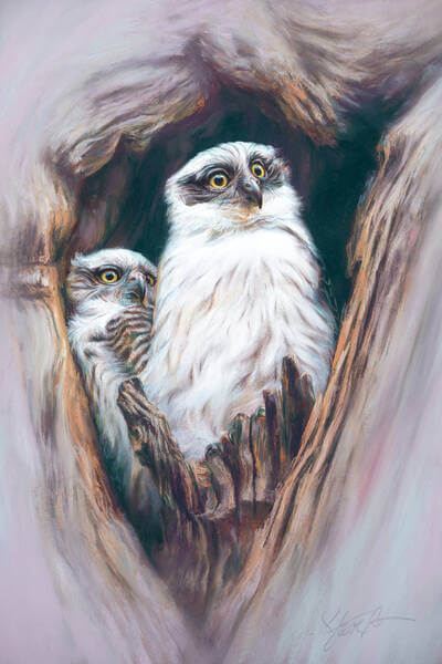 Itandrsquos a big world  Powerful Owlets