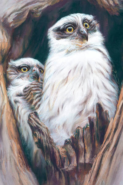 Itandrsquos a big world  Powerful Owlets