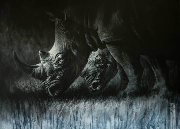 Out of the shadows andndash Southern White Rhinos