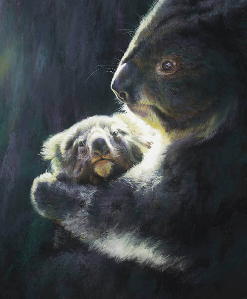 Precious andndash mum and joey Koala