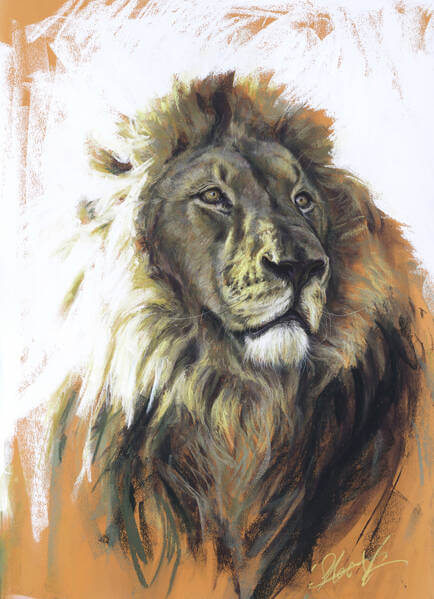 Siam  African Lion