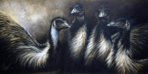 Talking Point Emus