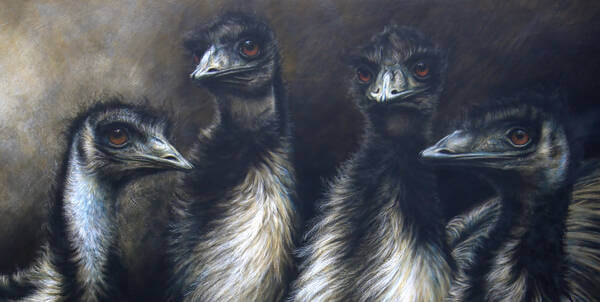 Talking Point Emus