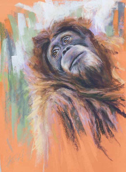 The essence of beauty andndash Orangutan