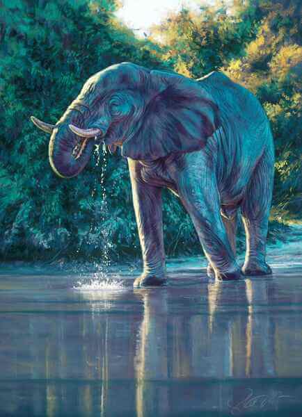 The golden hour – African elephant bull