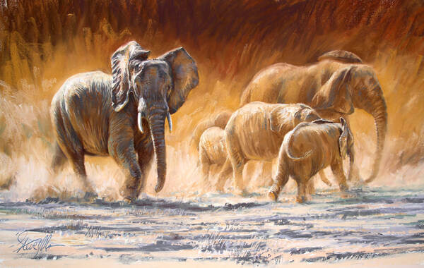 The matriarch comes andndash African Elephants