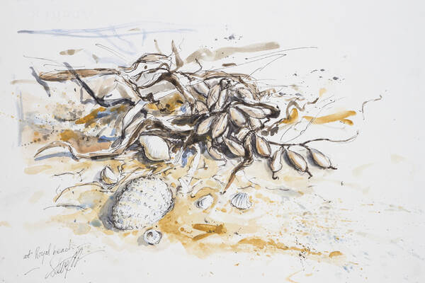 Tidal wrack, Royal Beach