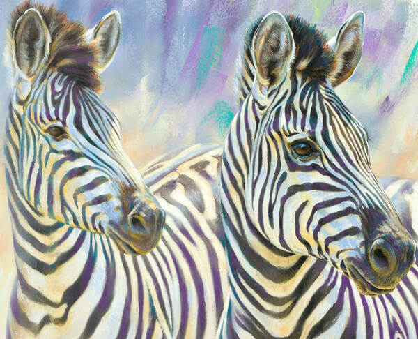 Zebra dreaming andndash Burchellandrsquos Zebras