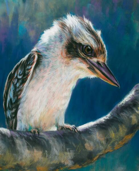 andlsquoOn watch  laughing kookaburraandrsquo 